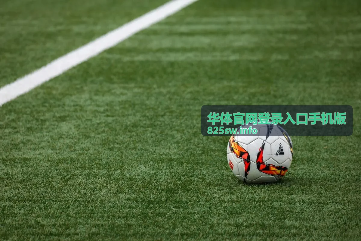 华体官网登录入口手机版移动端首页界面示意