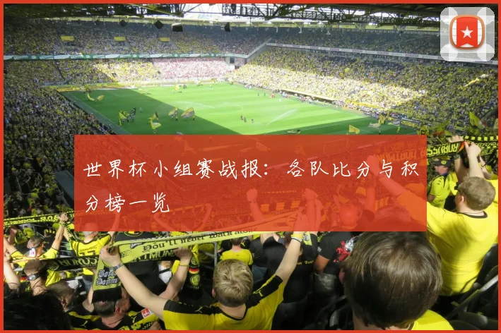 世界杯小组赛战报:各队比分与积分榜一览