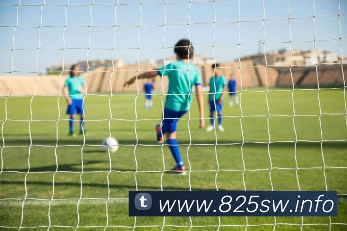 体育赛事